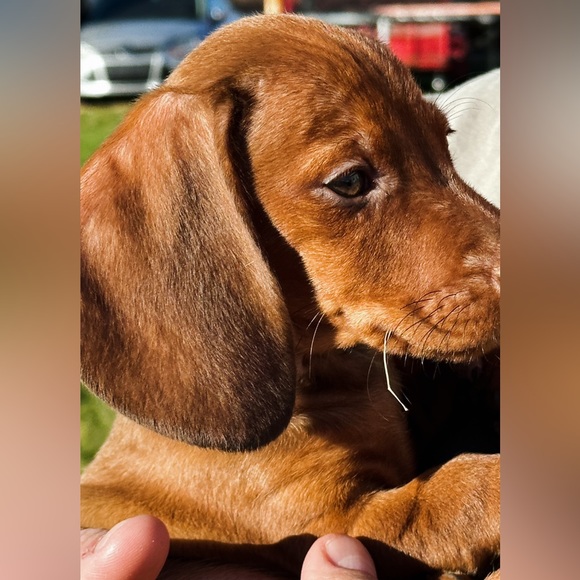 Hi Friend, I’m Christeena - Picture 15 of 16